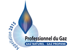 Professionnel du gaz 52